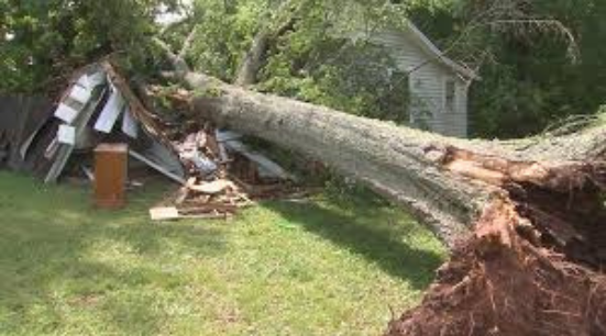 tree fell on a Rockingham County home