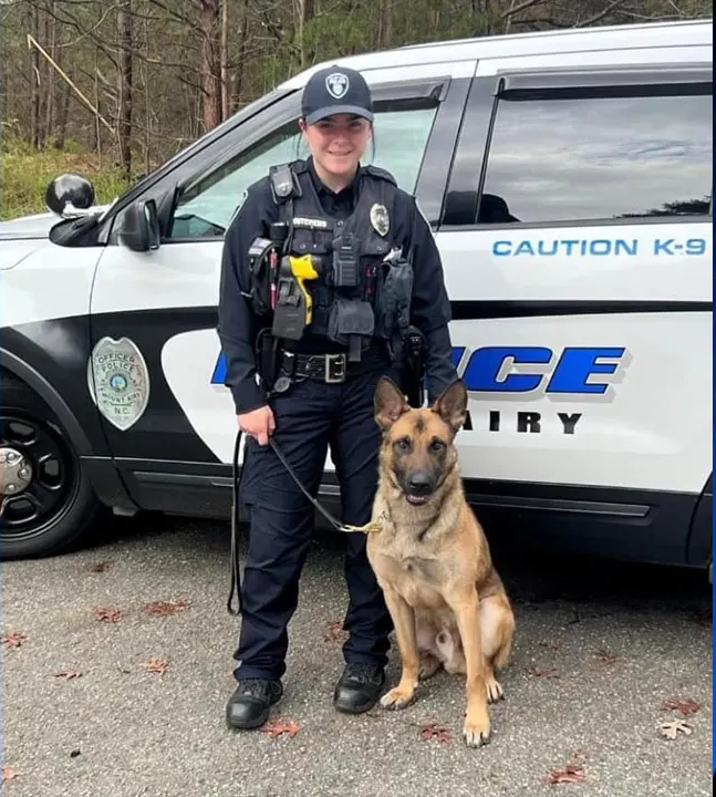 Armed Suspect Dead in Mount Airy Following Pursuit; Police K-9 Killed