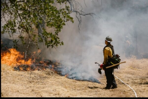 What wildfire containment mean, and how its function