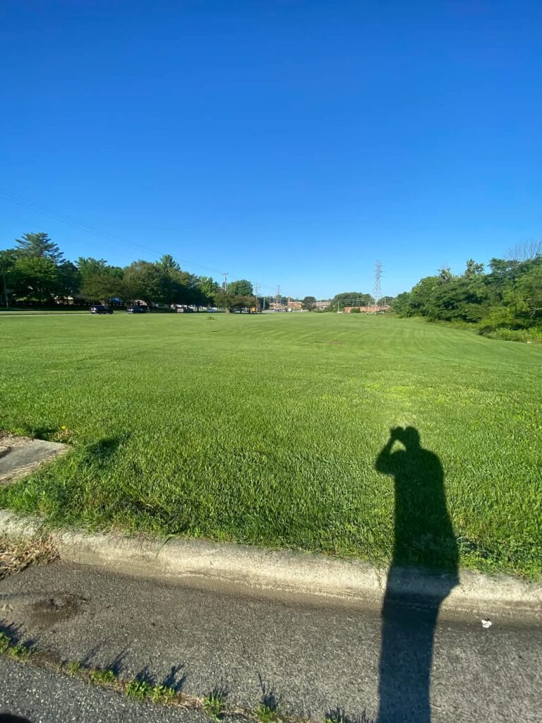 LawnCare Companies in Greensboro