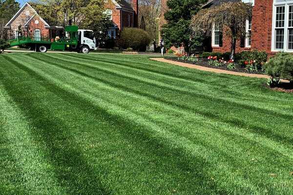 LawnCare Companies in Greensboro