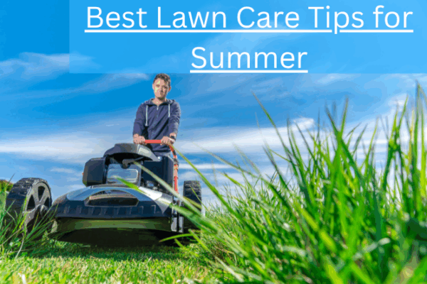 Best Lawn Care Tips for Summer