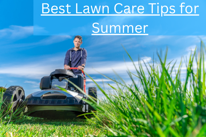 Best Lawn Care Tips for Summer