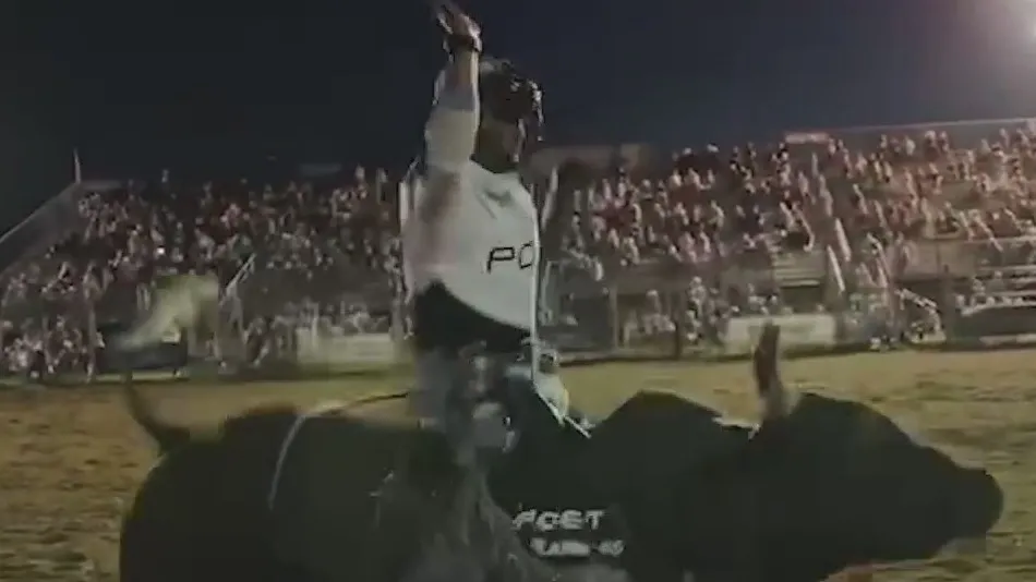 World Championship Buckle