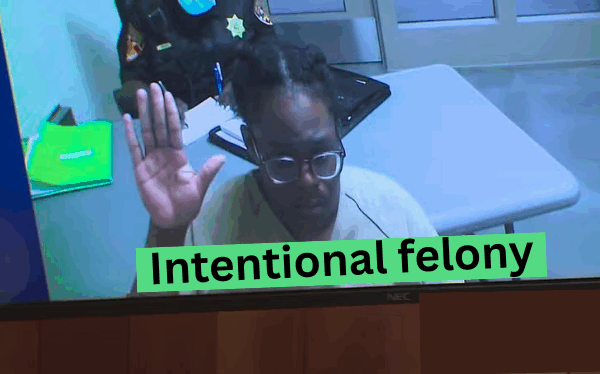 Greensboro mother charged with a felony