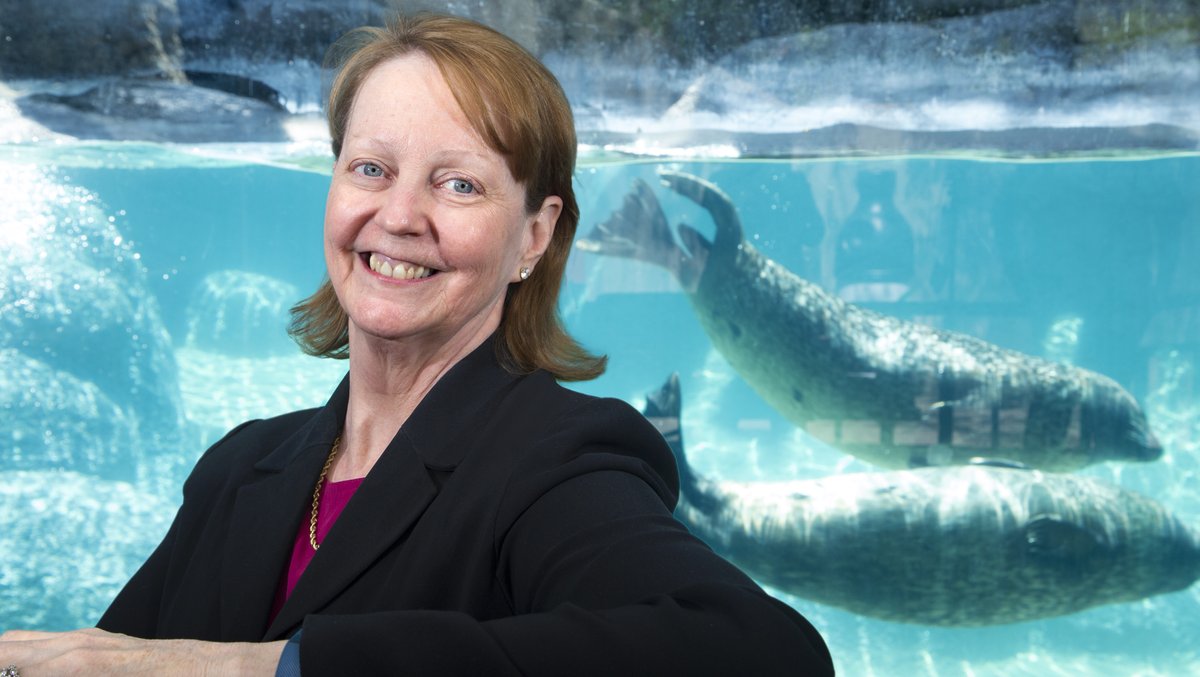 NC Zoo Director Pat Simmons Dies