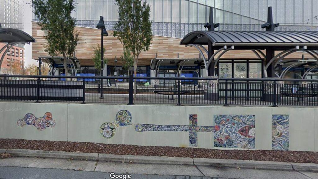 woman stabbed to death near light rail station