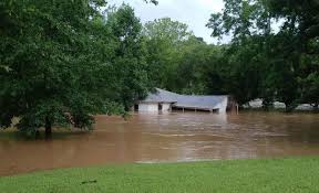 NC Farmer Worried Over Incoming Heavy Rain