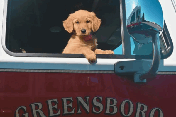 Greensboro Fire Department