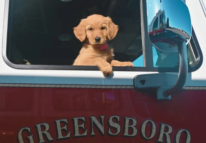 Greensboro Fire Department