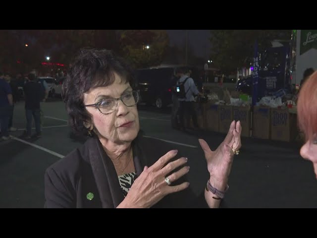 Mayor-Elect Marikay Abuzuaiter Clarifies Email on Representation