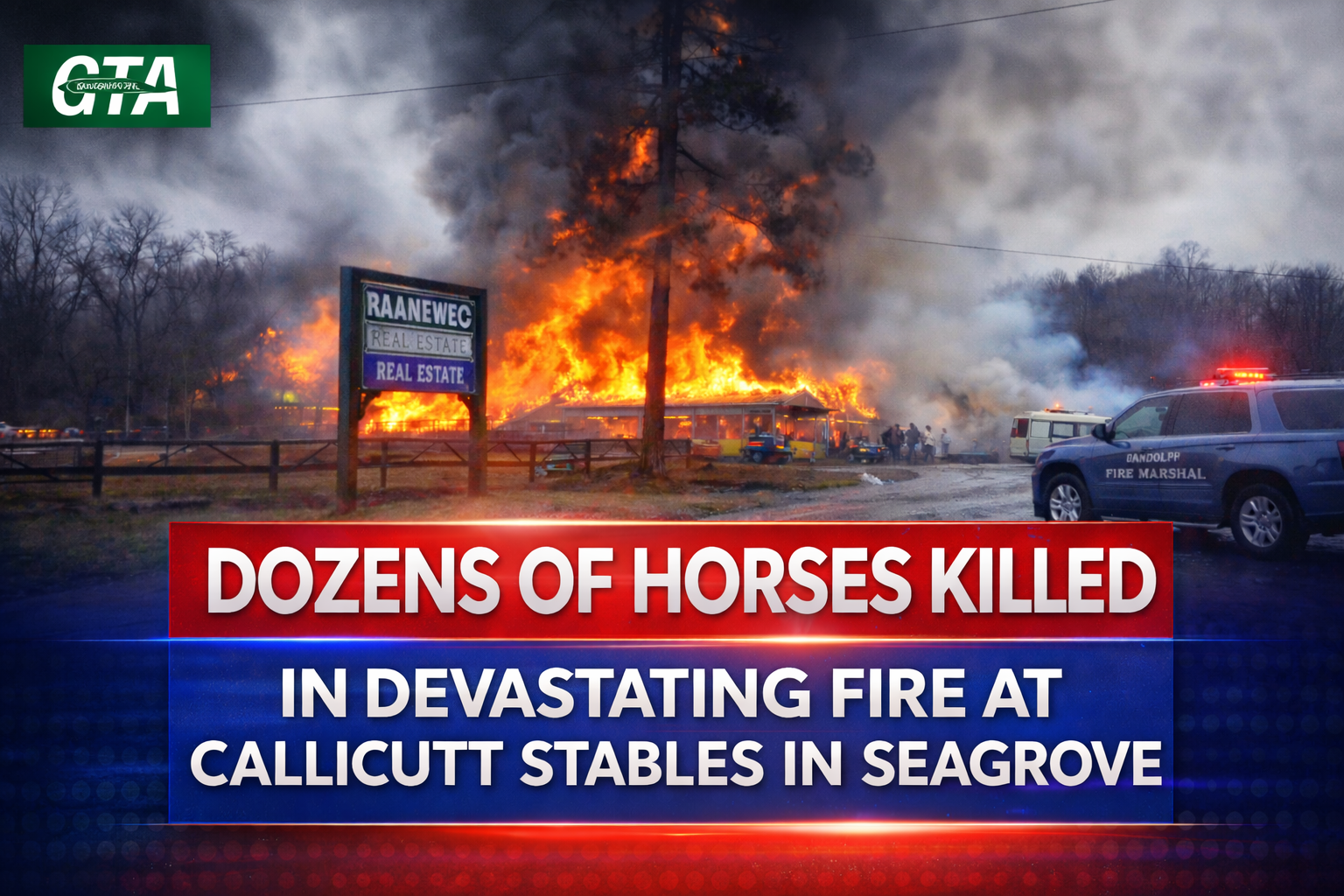 Dozens of Horses Killed in Devastating Fire at Callicutt Stables in Seagrove